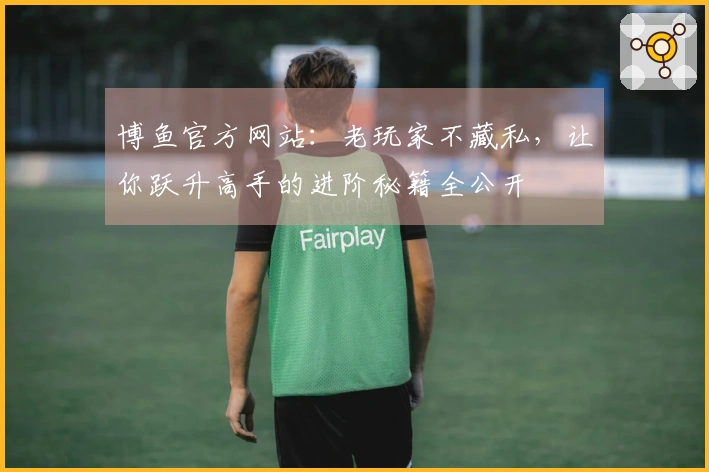 博鱼官方网站：老玩家不藏私，让你跃升高手的进阶秘籍全公开