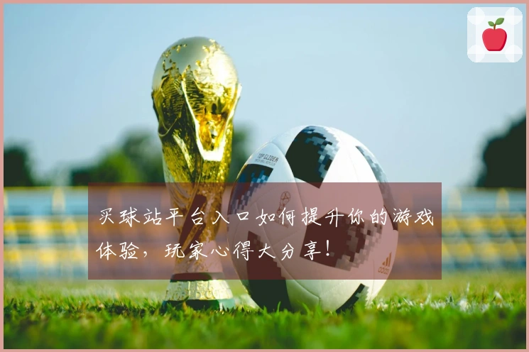 买球站平台入口如何提升你的游戏体验，玩家心得大分享！